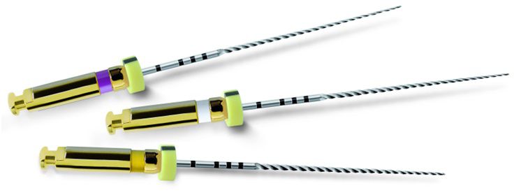 Dentsply-Path-File-21mm (1)