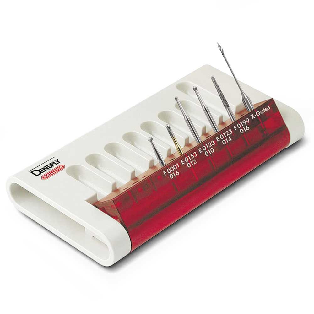 dentsply-cavity-access-set